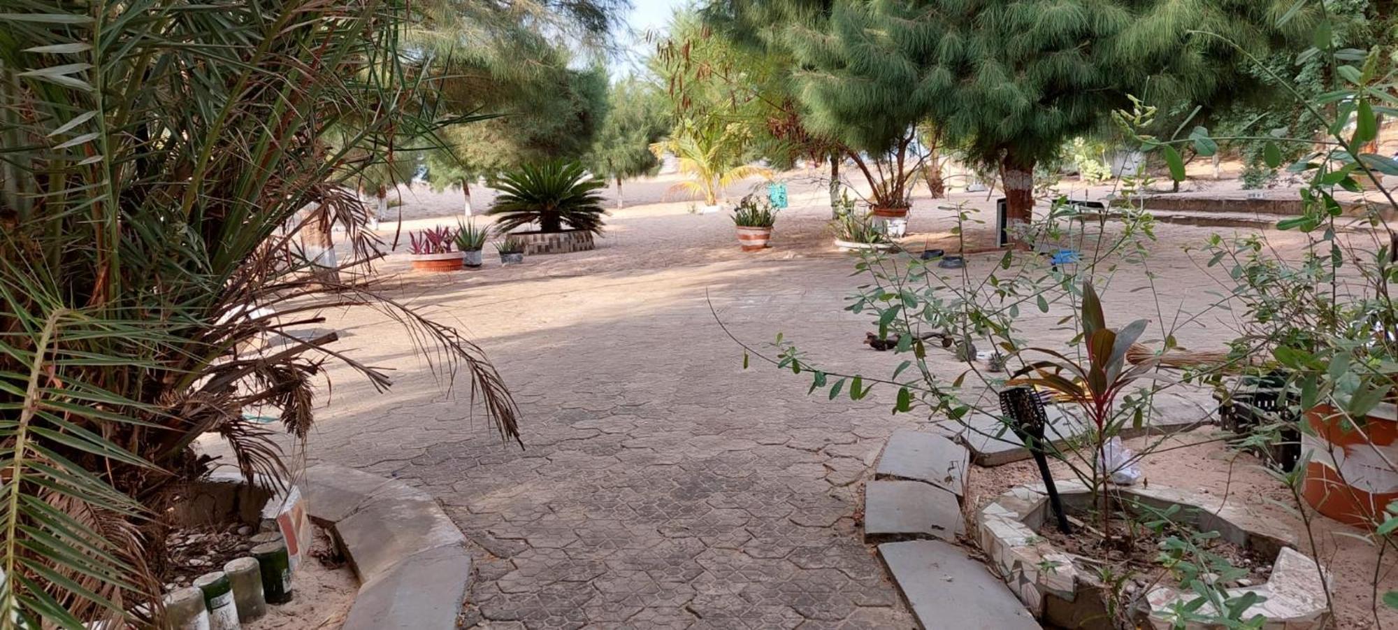 Mangrove Beach Sanyang Exterior foto